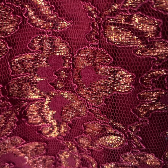 Scott McClintock Little Red Sparkle Lace Sleeveless Mini Dress - Picture 5 of 7